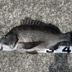 イチノ兄弟、釣果！