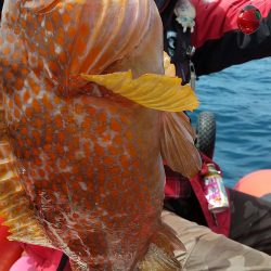 近海手漕ぎゴムボート