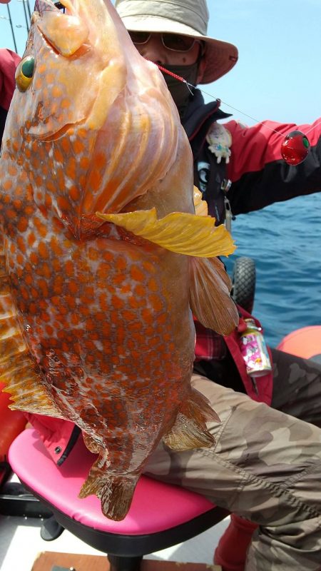 近海手漕ぎゴムボート