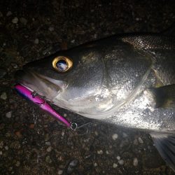 夜練釣行