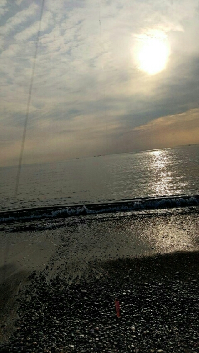 前回浜辺のゴミ拾いしたのでメジロの恩返しかなぁ？