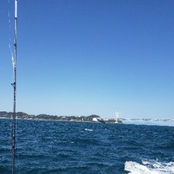 鳴門タイラバ！