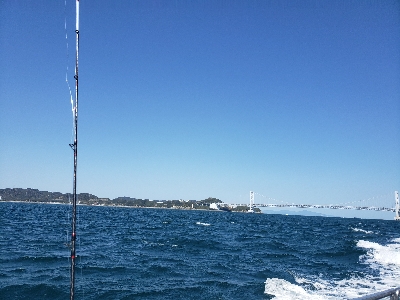 鳴門タイラバ！