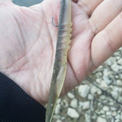 やっとやっとの初バス‼️‼️