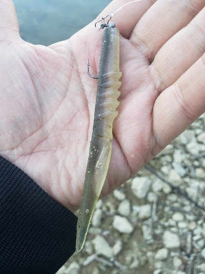 やっとやっとの初バス‼️‼️