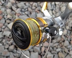 今年、３匹目！