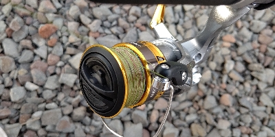 今年、３匹目！