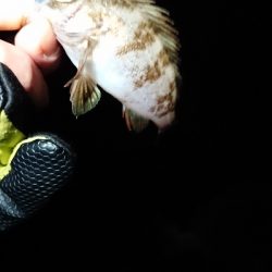 この時期、特有の。