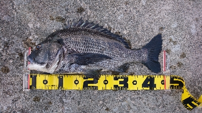 久しぶりに 朝早く