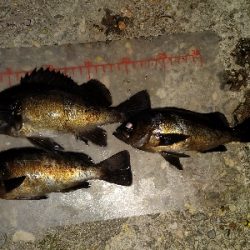 泣きながらかへる。