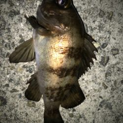 大物ゲスト登場！2021ライトゲーム第9戦