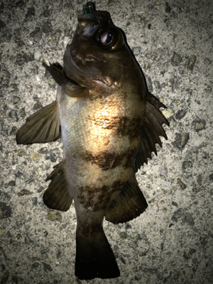 大物ゲスト登場！2021ライトゲーム第9戦