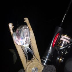 アジング練習　268