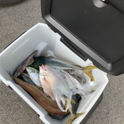 宇和島ブリジギング