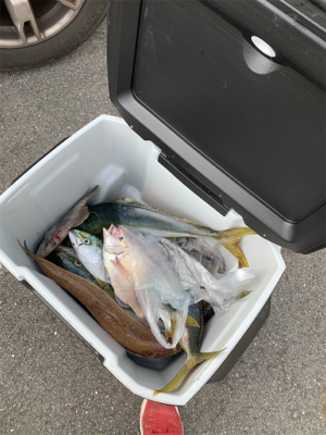 宇和島ブリジギング