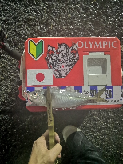 アジング練習　269 　