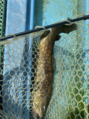 栃木総合運動場フィッシング