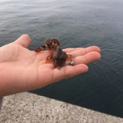 ライトゲームにまさかの…