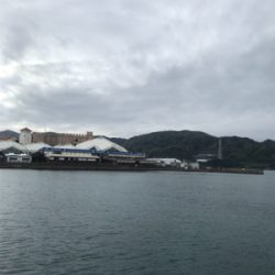 キャロアジング