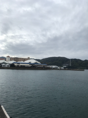 キャロアジング