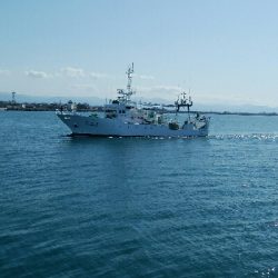 餌でベラ2匹！フグ多数・・・