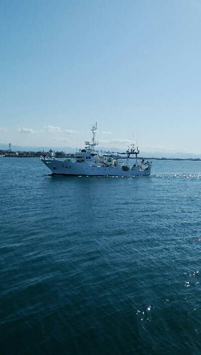 餌でベラ2匹！フグ多数・・・