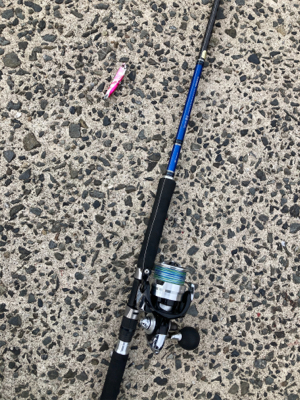 仕事前に朝マズメフラットフィッシュ狙いで巨エソ！！