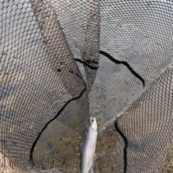 黒保根渓流フィッシング