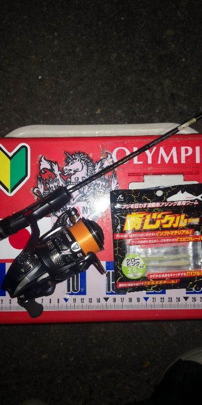 アジング練習　275 宵姫AJカスタムジグヘッド