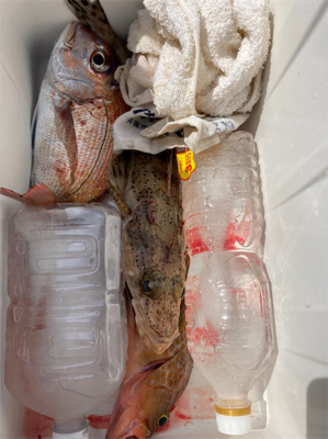 ヒトツテンヤ大撃沈