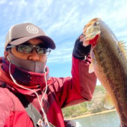 ほっほぉーい！初