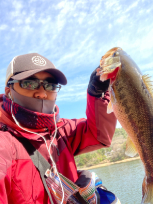 ほっほぉーい！初