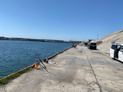 アジ、五目釣り