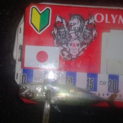 アジング練習 277