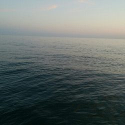 メバル3匹。小カサゴ1匹。