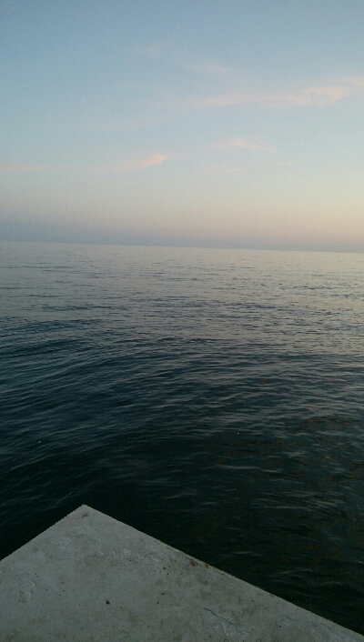 メバル3匹。小カサゴ1匹。