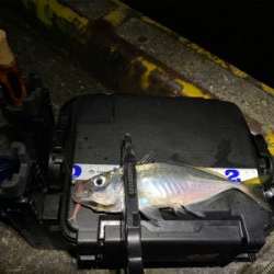 大阪湾奥を貸し切り探してウロウロ