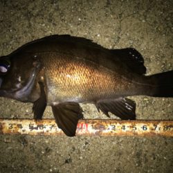 2021ライトゲーム第11戦