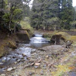 雨って聞いてないし