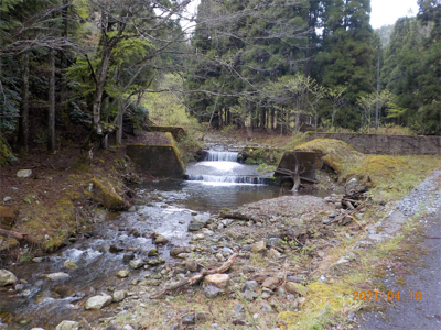 雨って聞いてないし