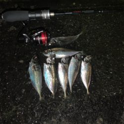 Newタックル入魂釣行♪