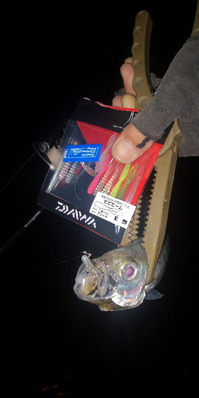 アジング練習　282　21カルディアFC LT1000S