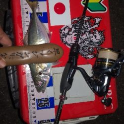 アジング練習　283　21アルテグラC2000S