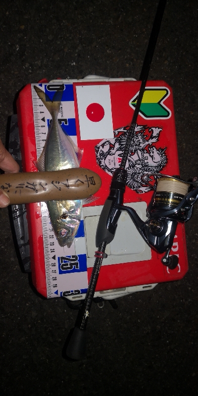 アジング練習　283　21アルテグラC2000S