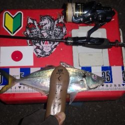 アジング練習　284　