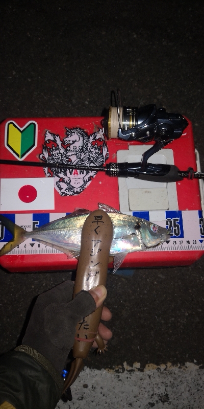 アジング練習　284　