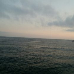 小カサゴ2匹、アナハゼ1匹