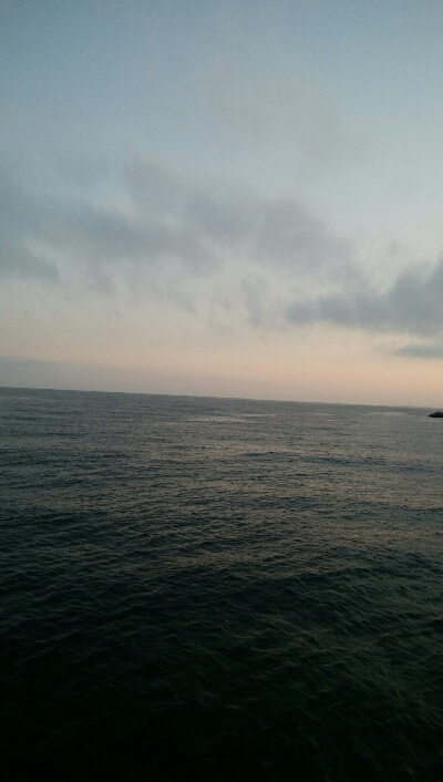 小カサゴ2匹、アナハゼ1匹