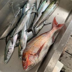 丹後沖タイラバ&ジギング