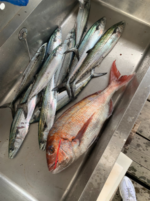 丹後沖タイラバ&ジギング